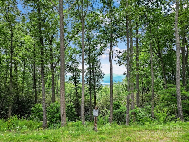 LOT30 Trillium Garden Way Unit 30, Fletcher, NC 28732