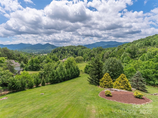 80 Feather Ln, Waynesville, NC 28786 - view of mountain background with a forest