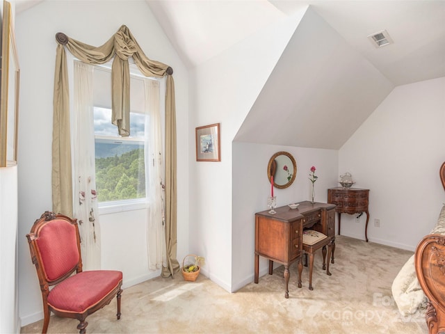 80 Feather Ln, Waynesville, NC 28786 - carpeted office with vaulted ceiling