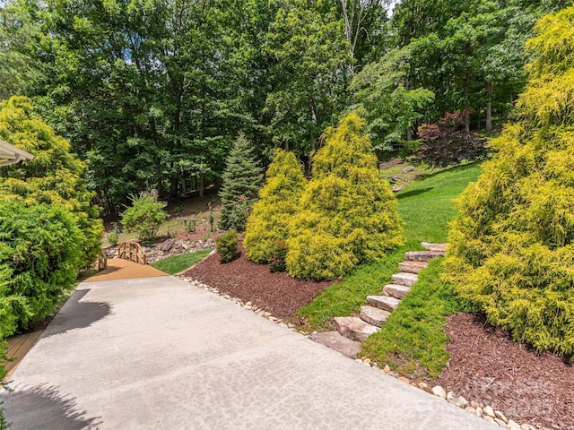 80 Feather Ln, Waynesville, NC 28786 - view of home's community