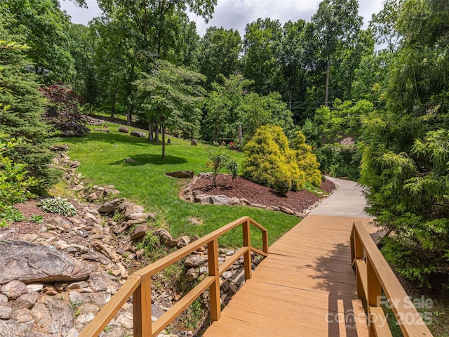 80 Feather Ln, Waynesville, NC 28786 - view of community with a lawn