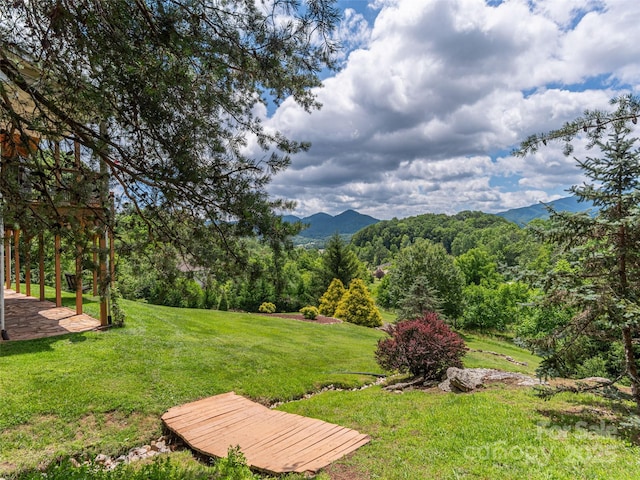 80 Feather Ln, Waynesville, NC 28786 - view of green lawn featuring a mountain view
