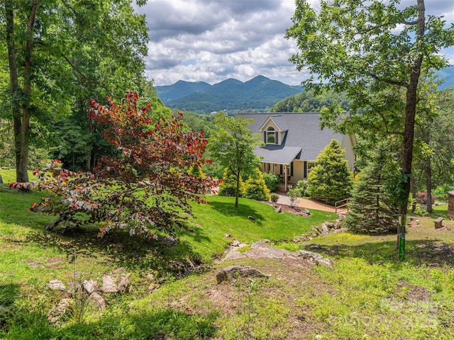 80 Feather Ln, Waynesville, NC 28786 - view of mountain backdrop