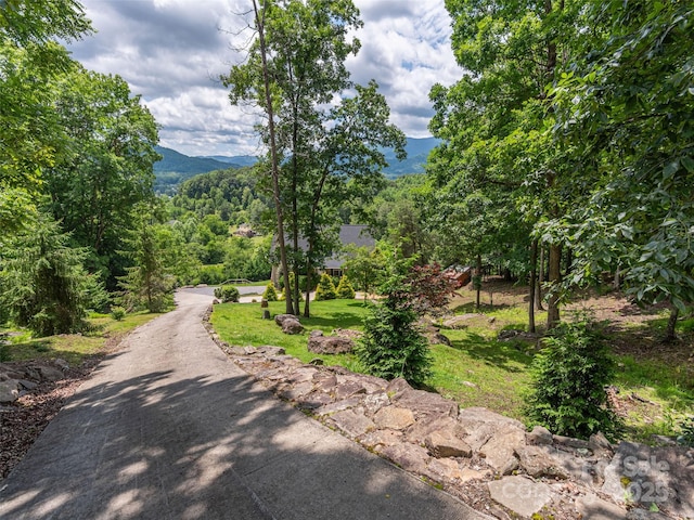 80 Feather Ln, Waynesville, NC 28786 - view of street with a mountain view and a wooded view