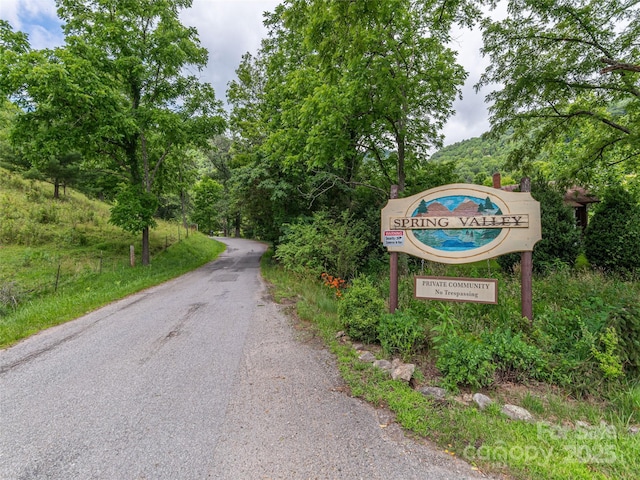 80 Feather Ln, Waynesville, NC 28786 - view of asphalt road