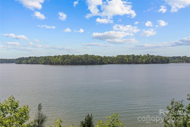 13712 Sage Thrasher Ln, Charlotte, NC 28278