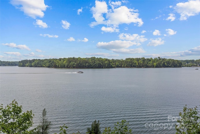 13712 Sage Thrasher Ln, Charlotte, NC 28278
