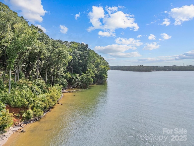 13712 Sage Thrasher Ln, Charlotte, NC 28278