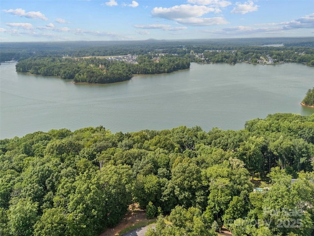 13712 Sage Thrasher Ln, Charlotte, NC 28278