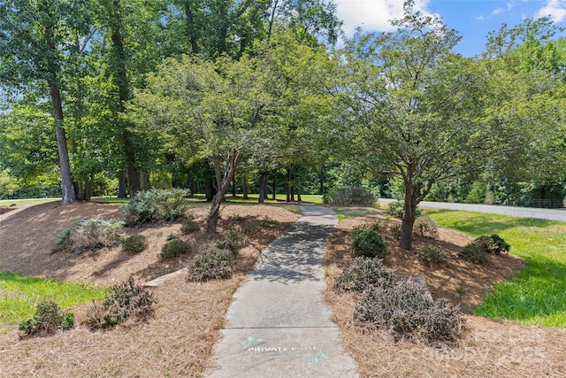 13712 Sage Thrasher Ln, Charlotte, NC 28278
