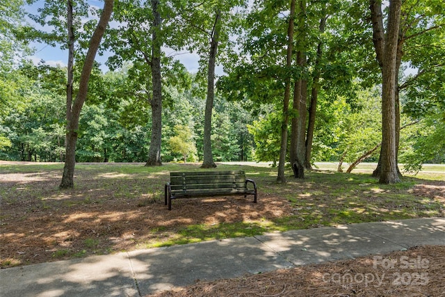 13712 Sage Thrasher Ln, Charlotte, NC 28278