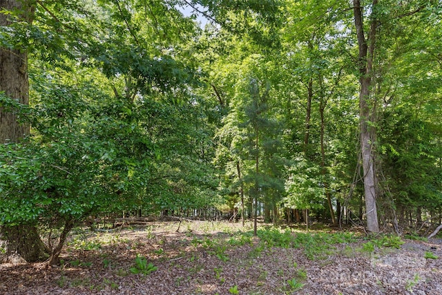 13712 Sage Thrasher Ln, Charlotte, NC 28278
