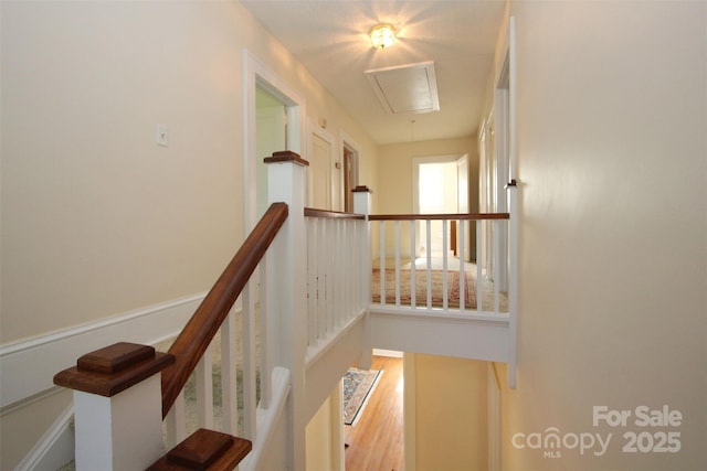309 S Greene St, Wadesboro, NC 28170 - photo 23