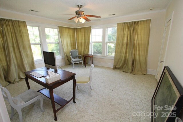 309 S Greene St, Wadesboro, NC 28170 - photo 26