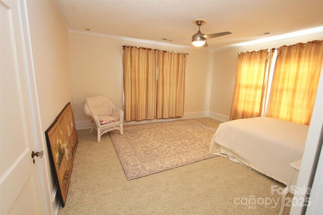 309 S Greene St, Wadesboro, NC 28170 - photo 28