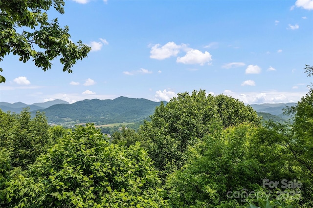 102 Coyote Rdg, Maggie Valley, NC 28751 - view of mountain backdrop
