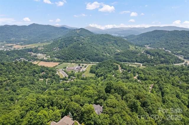 102 Coyote Rdg, Maggie Valley, NC 28751 - drone / aerial view of a heavily wooded area and a mountainous background