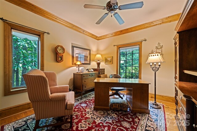 102 Coyote Rdg, Maggie Valley, NC 28751 - office area with ornamental molding, ceiling fan, and baseboards