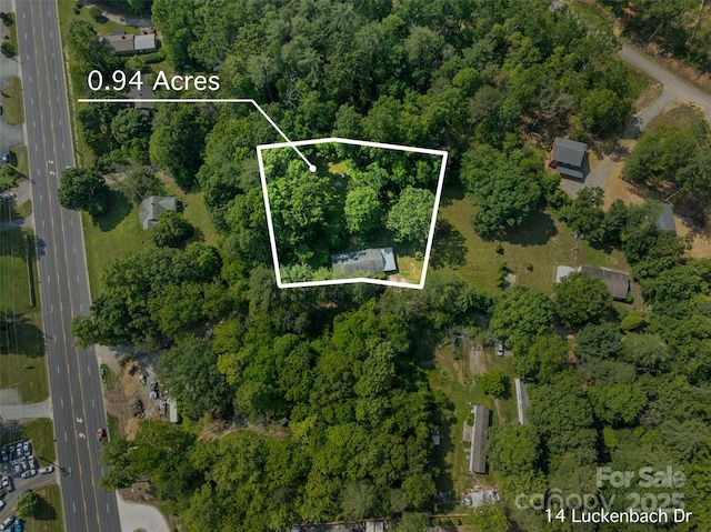 14 Luckenbach Dr, Fairview, NC 28730 - aerial overview of property's location featuring property parcel outlined