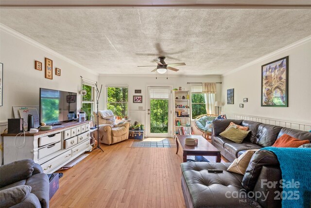 14 Luckenbach Dr, Fairview, NC 28730 - living area with light wood-type flooring, a ceiling fan, and ornamental molding