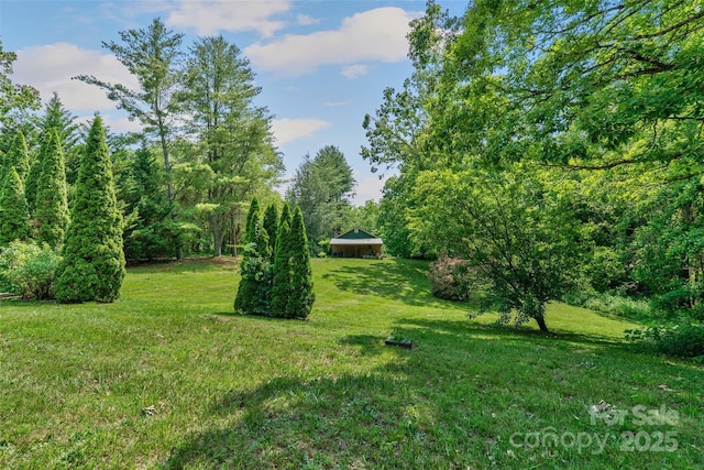 14 Luckenbach Dr, Fairview, NC 28730 - view of grassy yard