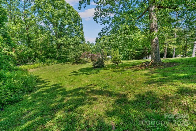 14 Luckenbach Dr, Fairview, NC 28730 - view of grassy yard