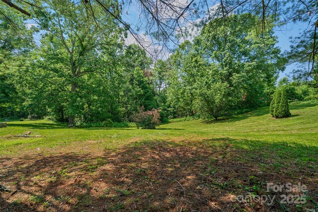 14 Luckenbach Dr, Fairview, NC 28730 - view of green lawn featuring a view of trees