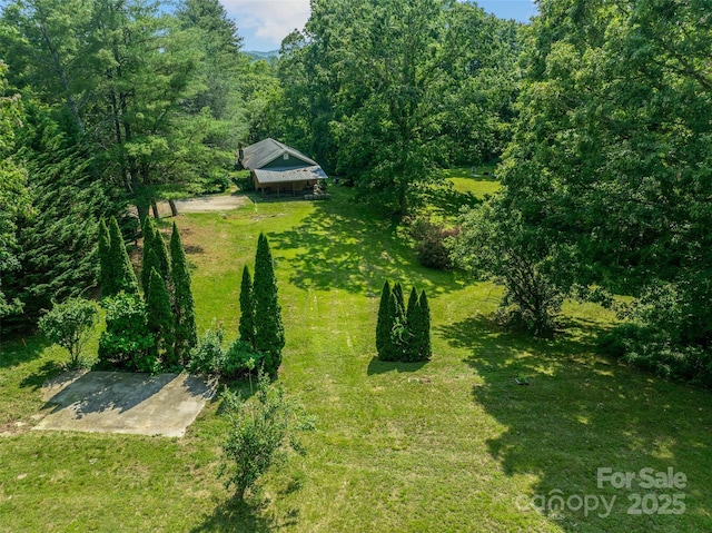 14 Luckenbach Dr, Fairview, NC 28730 - view of green lawn featuring a view of trees