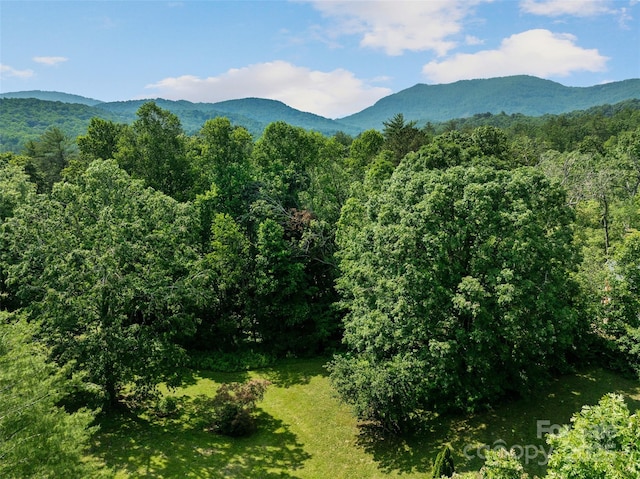 14 Luckenbach Dr, Fairview, NC 28730 - view of mountain backdrop with a forest