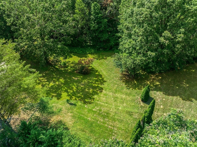 14 Luckenbach Dr, Fairview, NC 28730 - view of undeveloped land