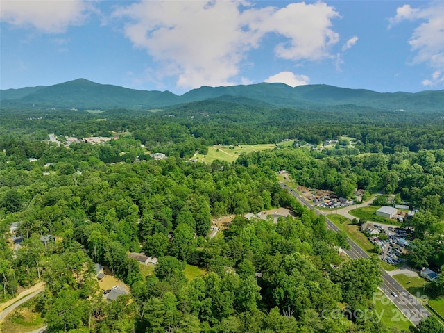 14 Luckenbach Dr, Fairview, NC 28730 - drone / aerial view of a forest and a mountain backdrop