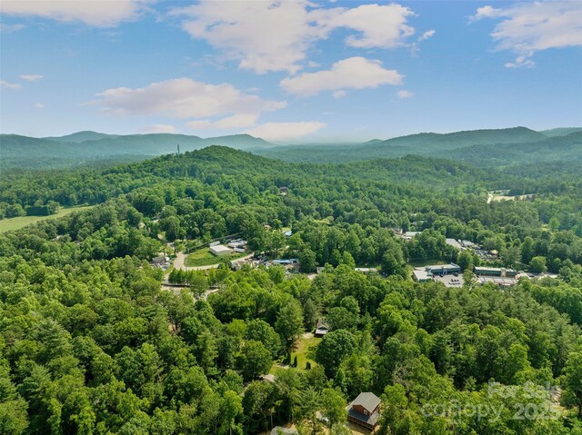 14 Luckenbach Dr, Fairview, NC 28730 - drone / aerial view of a heavily wooded area and a mountain backdrop