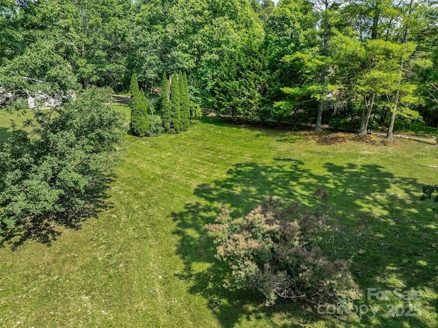 14 Luckenbach Dr, Fairview, NC 28730 - view of green lawn