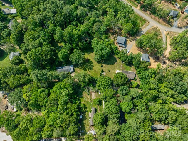 14 Luckenbach Dr, Fairview, NC 28730 - aerial overview of property's location