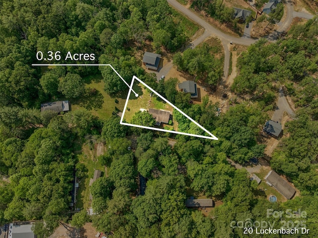 14 Luckenbach Dr, Fairview, NC 28730 - aerial overview of property's location featuring property parcel outlined