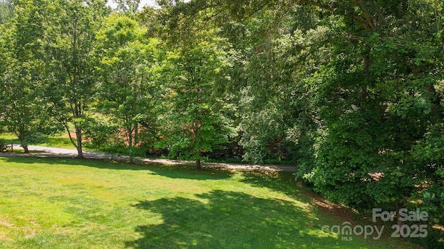 100 Donna Dr, Franklin, NC 28734 - view of grassy yard