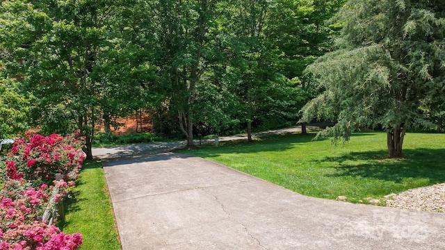 100 Donna Dr, Franklin, NC 28734 - surrounding community with a yard