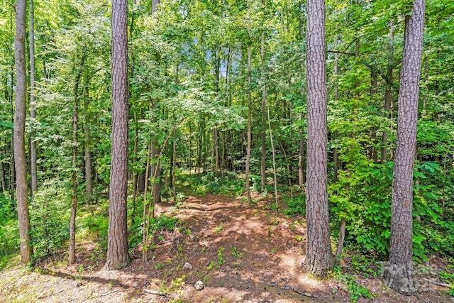 2612 Cold Springs Rd, Concord, NC 28025 - view of wooded area
