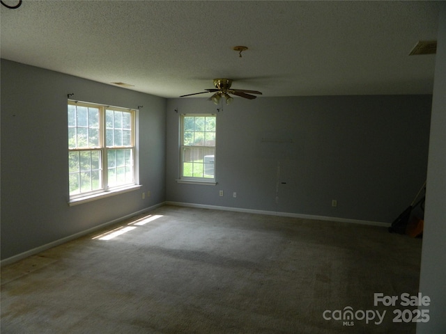 10516 Pickerel Ln, Charlotte, NC 28213 - photo 7