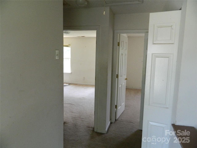 10516 Pickerel Ln, Charlotte, NC 28213 - photo 12