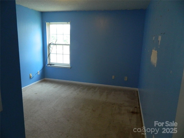 10516 Pickerel Ln, Charlotte, NC 28213 - photo 18