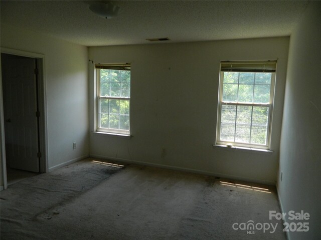 10516 Pickerel Ln, Charlotte, NC 28213 - photo 21