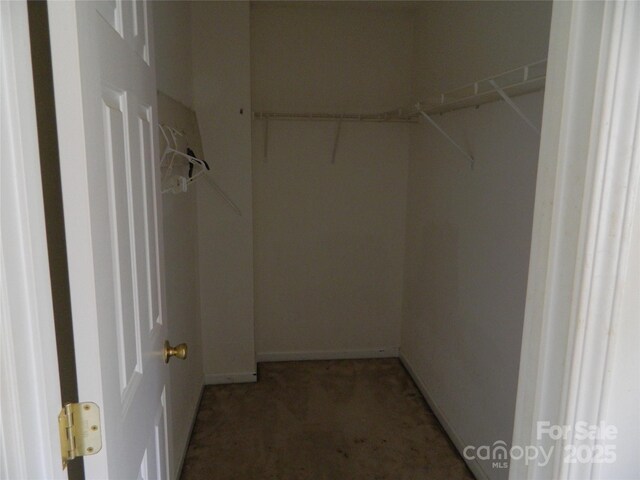 10516 Pickerel Ln, Charlotte, NC 28213 - photo 22