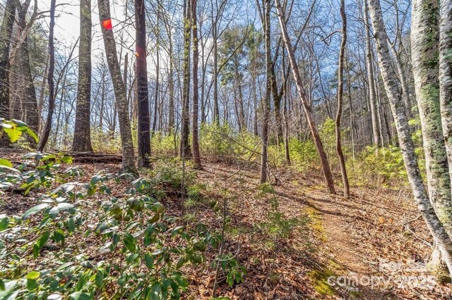99999 Parker Rd Unit 4, Asheville, NC 28805 - photo 6