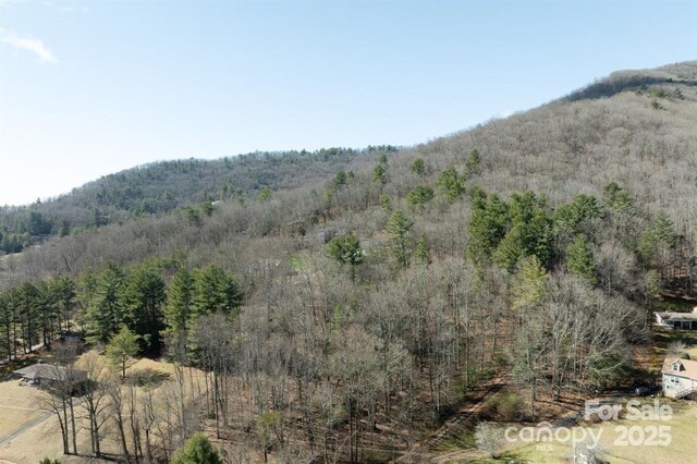 99999 Parker Rd Unit 4, Asheville, NC 28805 - photo 7