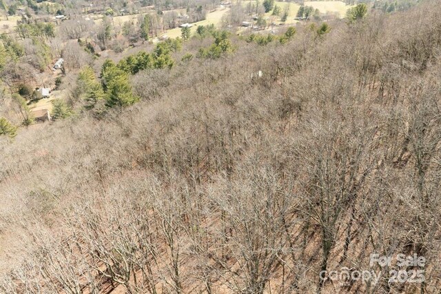 99999 Parker Rd Unit 4, Asheville, NC 28805 - photo 8
