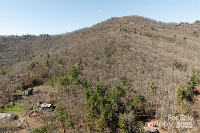 99999 Parker Rd Unit 4, Asheville, NC 28805 - photo 10