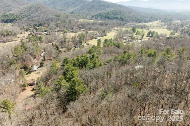 99999 Parker Rd Unit 4, Asheville, NC 28805 - photo 11
