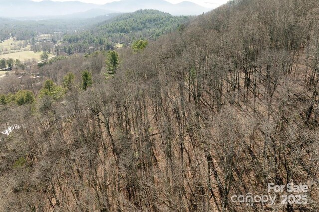 99999 Parker Rd Unit 4, Asheville, NC 28805 - photo 12