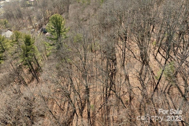 99999 Parker Rd Unit 4, Asheville, NC 28805 - photo 13